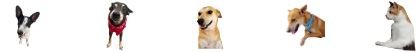footer scroll1 - Copy - Copy - Copy - Copy